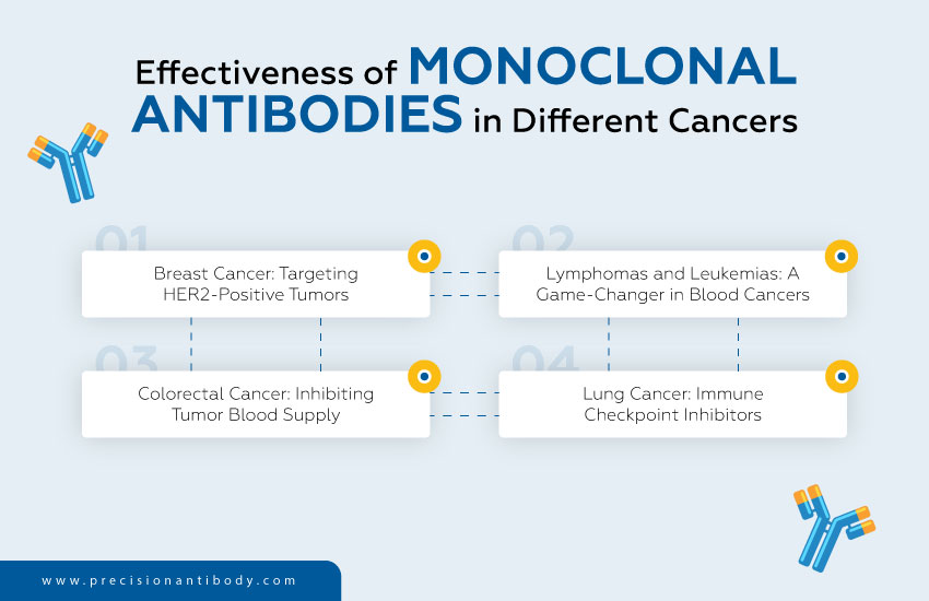 Effectiveness of Monoclonal Antibodies in Different Cancers