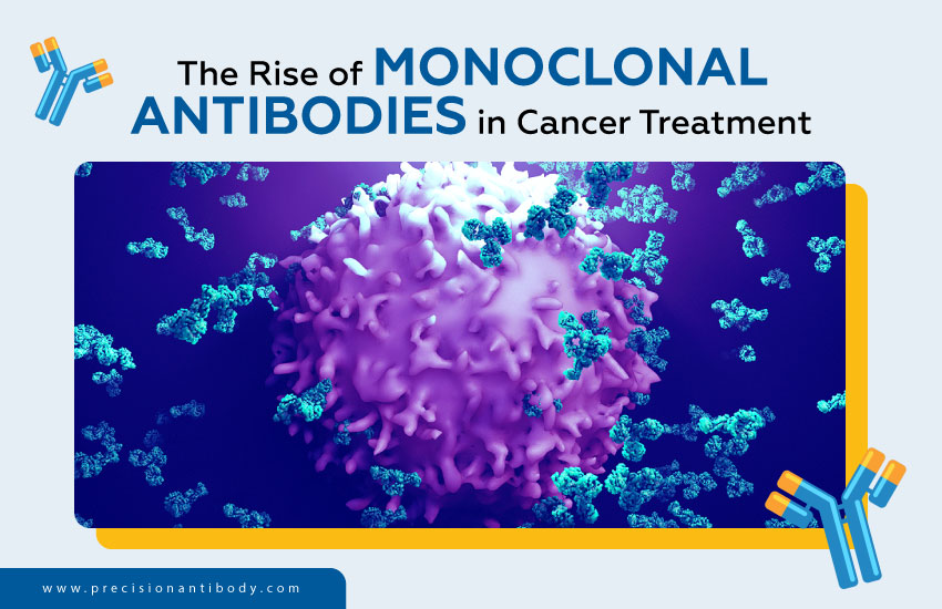 The Rise of Monoclonal Antibodies in Cancer Treatment