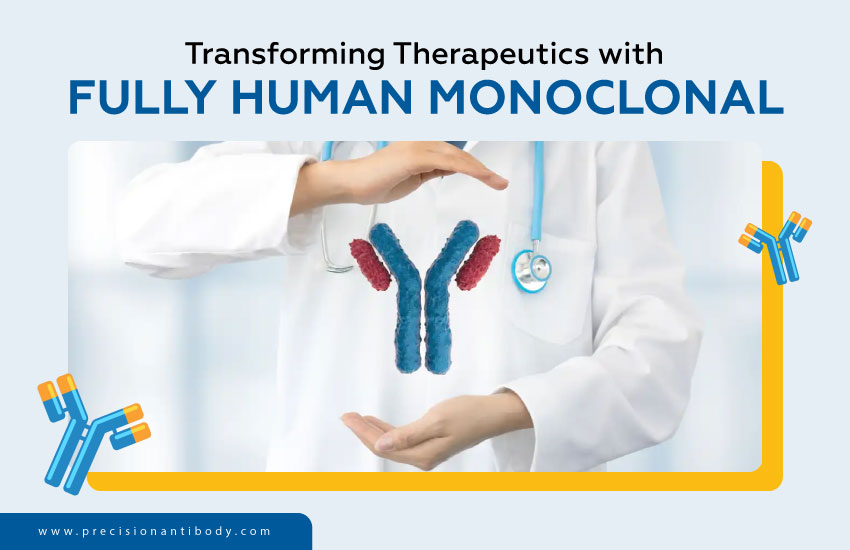 Transforming Therapeutics with Fully Human Monoclonal