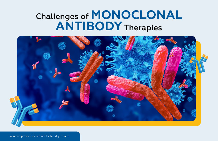 Challenges of Monoclonal Antibody Therapies