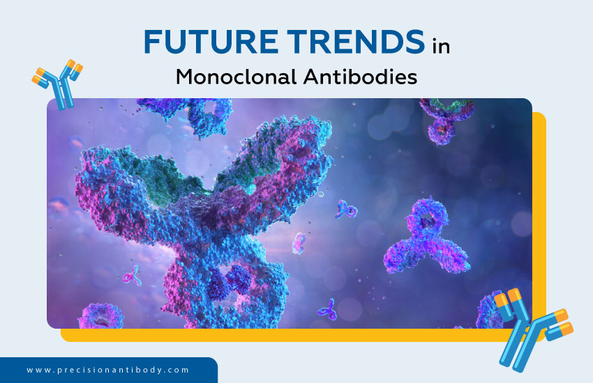 Future Trends in Monoclonal Antibodies