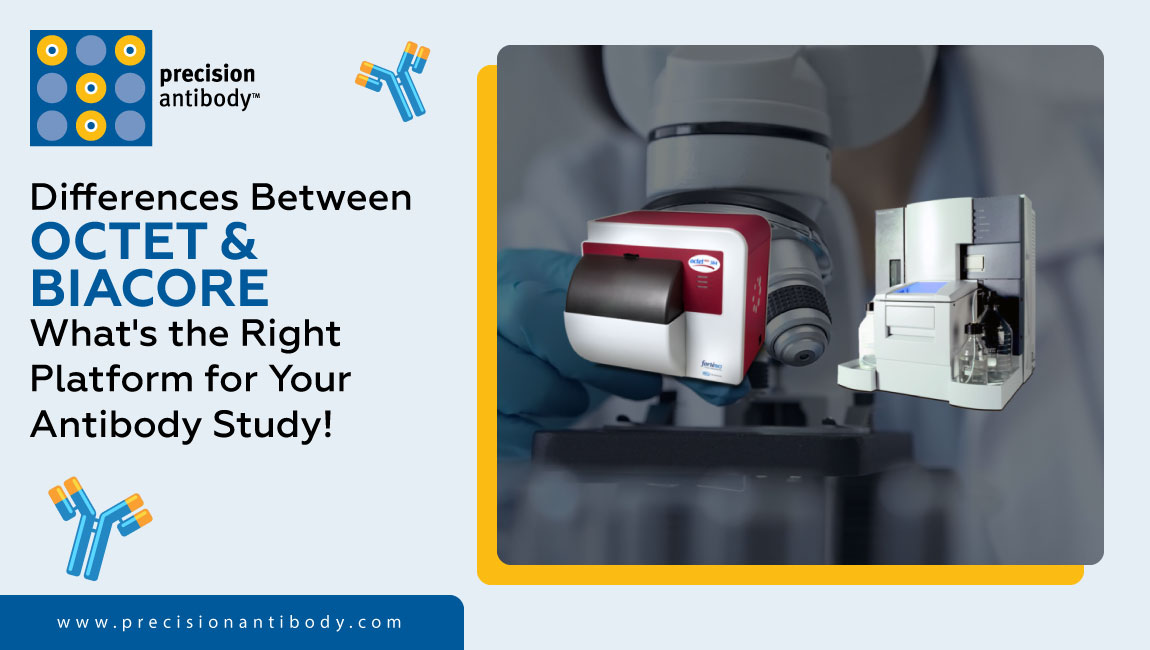 Octet or Biacore, Label Free Technologies | What's the Right Platform ...