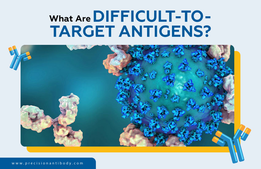 What Are Difficult-to-Target Antigens?