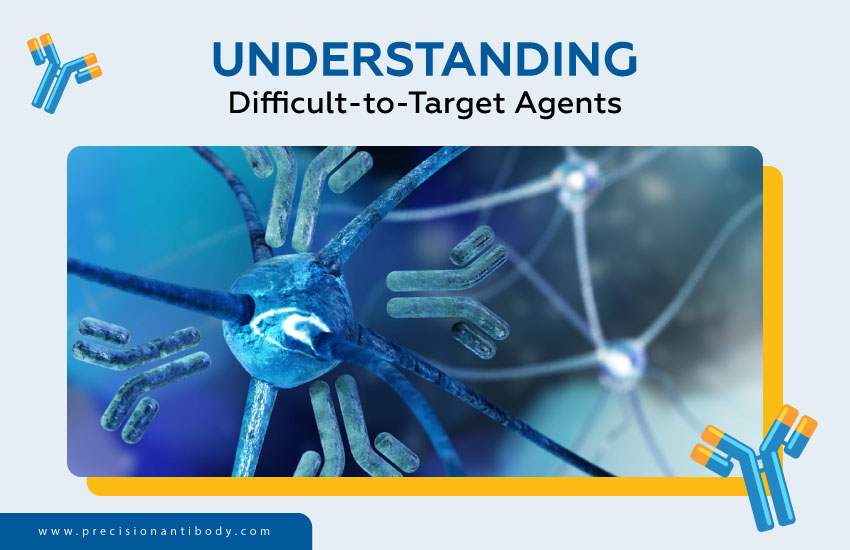 Understanding Difficult-to-Target Agents