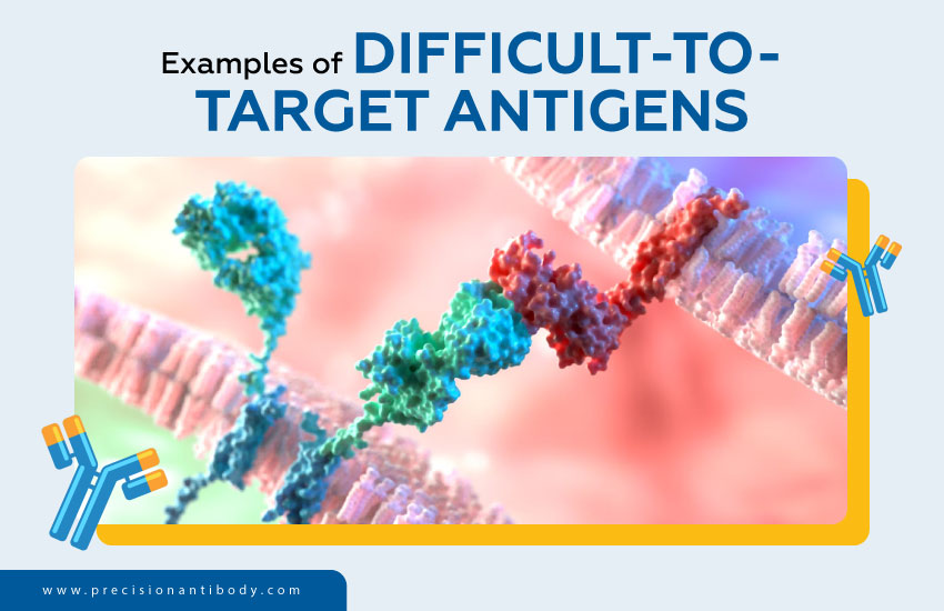 Examples of Difficult-to-Target Antigens