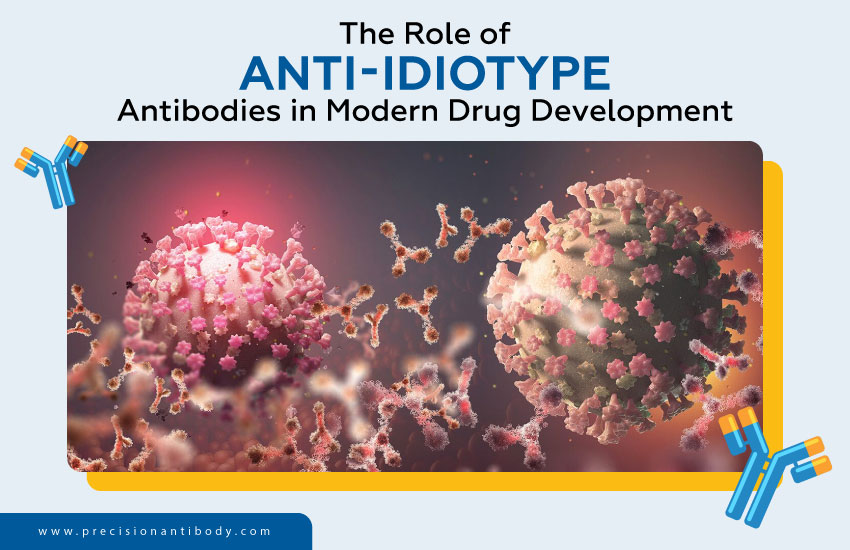 The Role of Anti-Idiotype Antibodies in Modern Drug Development