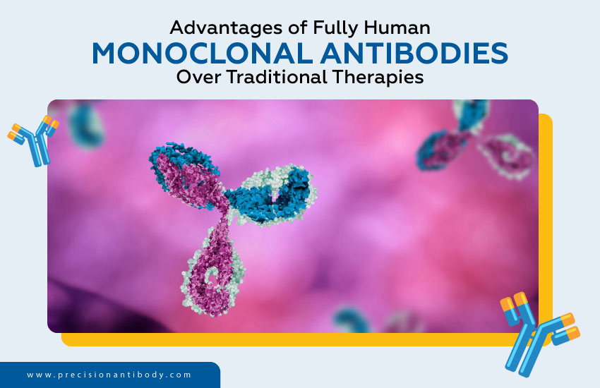 Advantages of Fully Human Monoclonal Antibodies Over Traditional Therapies