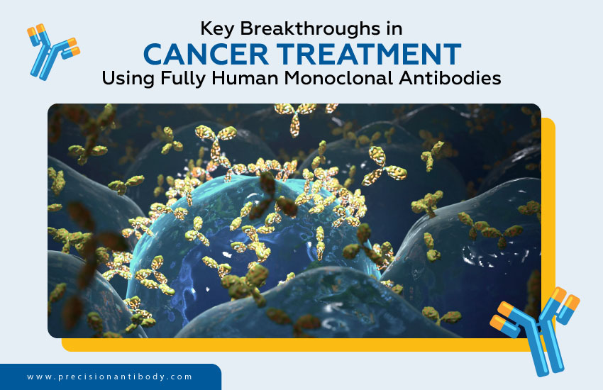 Key Breakthroughs in Cancer Treatment Using Fully Human Monoclonal Antibodies