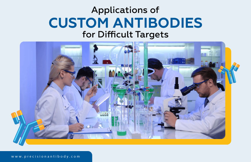 Applications of Custom Antibodies for Difficult Targets