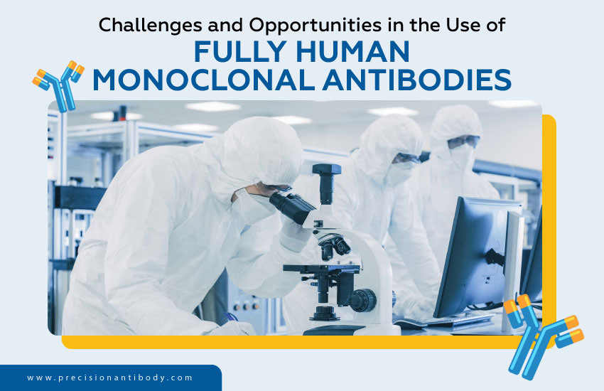 Challenges and Opportunities in the Use of Fully Human Monoclonal Antibodies