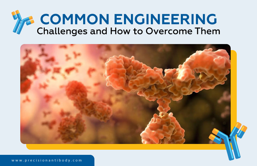 Common Engineering Challenges and How to Overcome Them