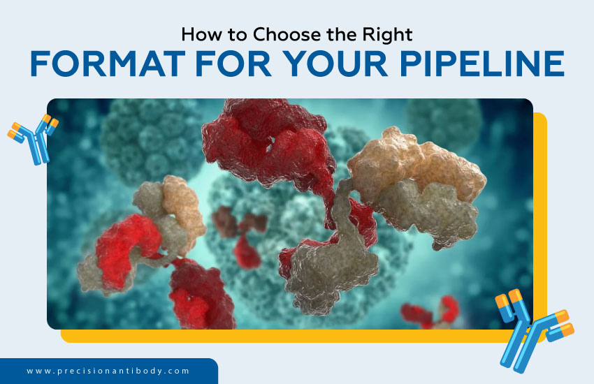 How to Choose the Right Format for Your Pipeline