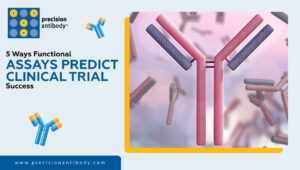 5 Ways Functional Assays Predict Clinical Trial Success