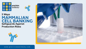 5 Ways Mammalian Cell Banking Safeguards Against Production Risks