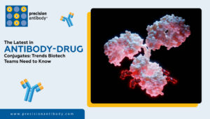 The Latest in Antibody-Drug Conjugates: Trends Biotech Teams Need to Know