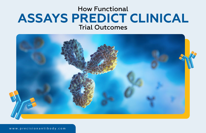 How Functional Assays Predict Clinical Trial Outcomes