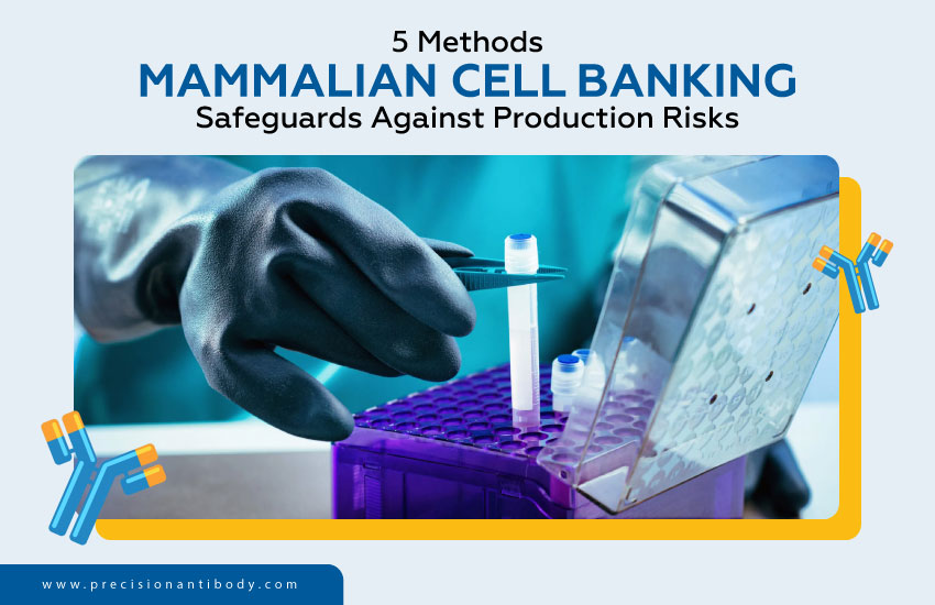 5 Methods Mammalian Cell Banking Safeguards Against Production Risks