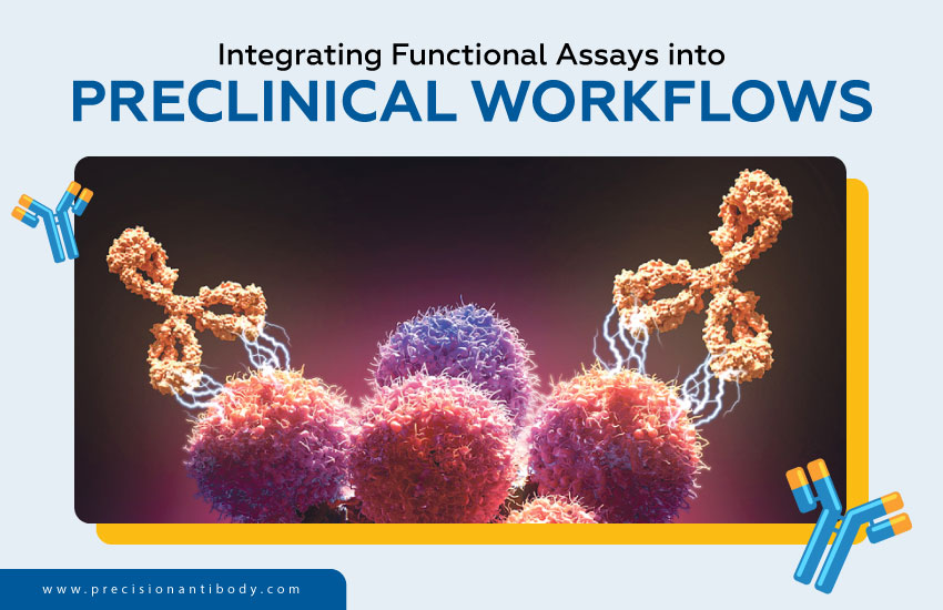 Integrating Functional Assays into Preclinical Workflows