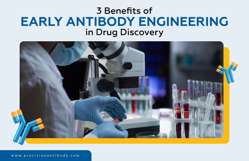 3 Benefits of Early Antibody Engineering in Drug Discovery