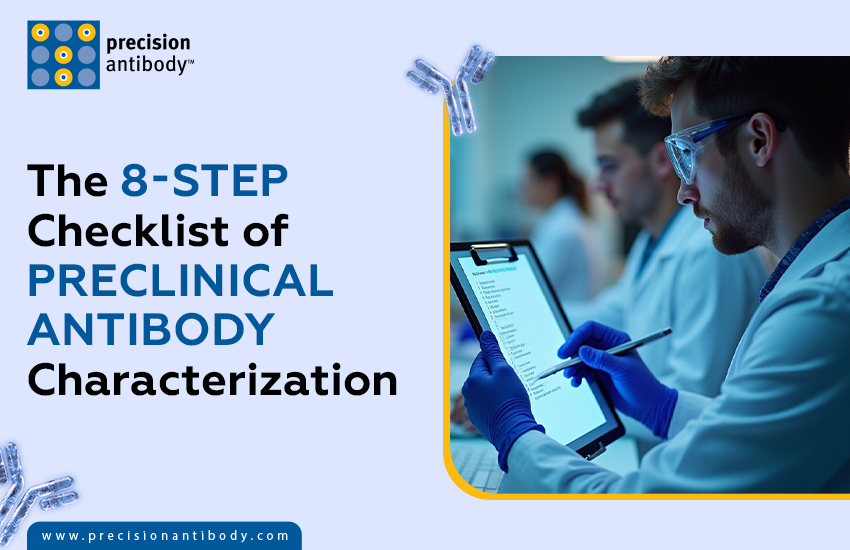 The 8-Step Checklist of Preclinical Antibody Characterization