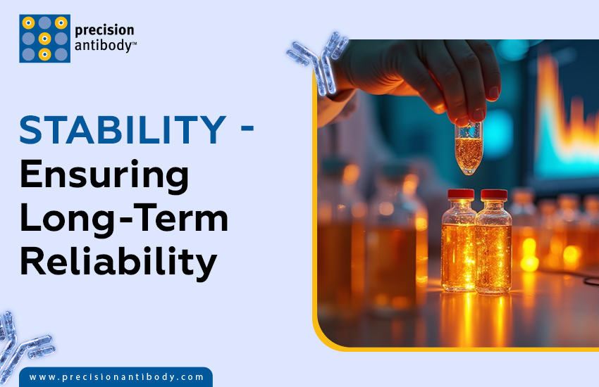 Stability - Ensuring Long-Term Reliability