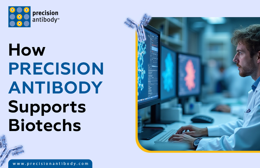 How Precision Antibody Supports Biotech