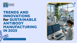 Trends and Innovations for Sustainable Antibody Manufacturing in 2025