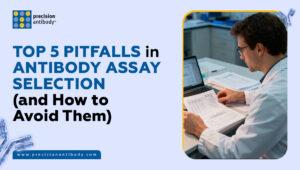 Top 5 Pitfalls in Antibody Assay Selection (and How to Avoid Them)