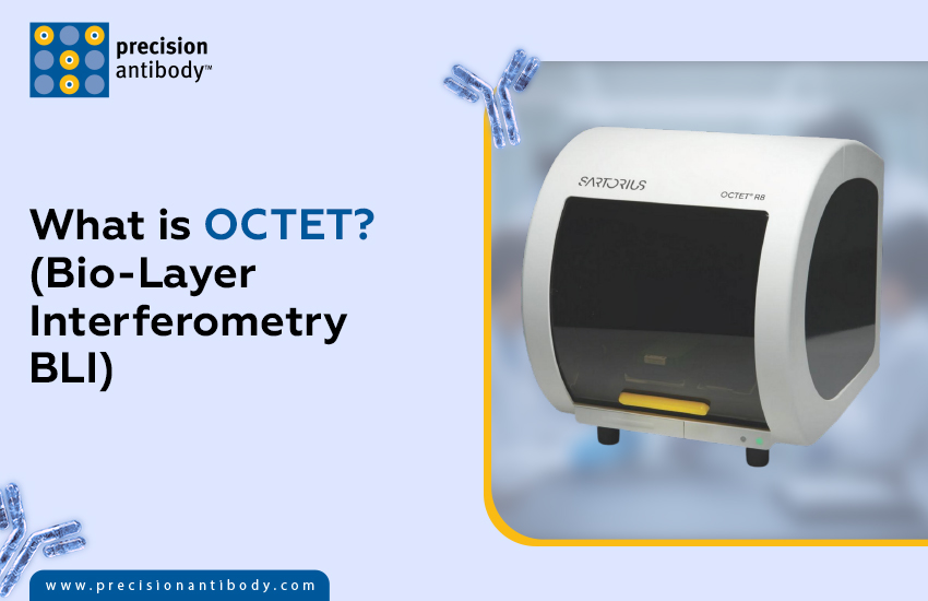What is Octet? (Bio-Layer Interferometry – BLI)