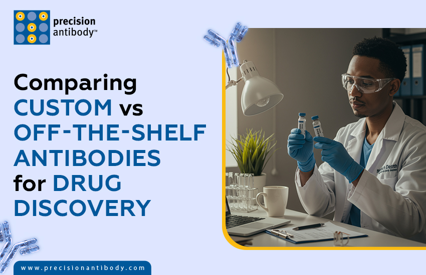 Comparing Custom vs Off-the-Shelf Antibodies for Drug Discovery