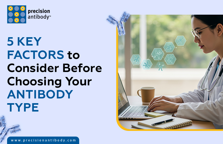 5 Key Factors to Consider Before Choosing Your Antibody Type