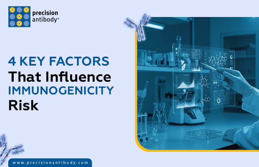 4 Key Factors That Influence Immunogenicity Risk