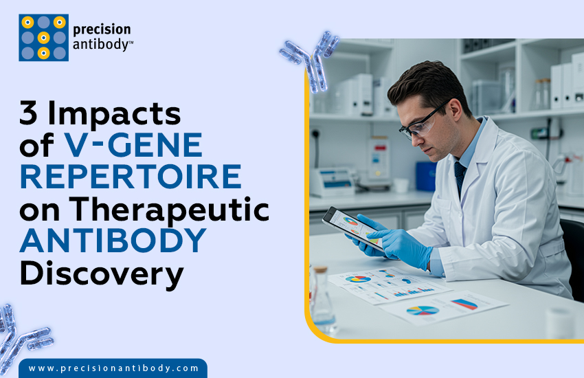 3 Impacts of V-Gene Repertoire on Therapeutic Antibody Discovery