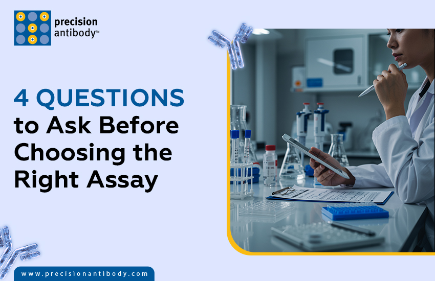 4 Questions to Ask Before Choosing the Right Assay