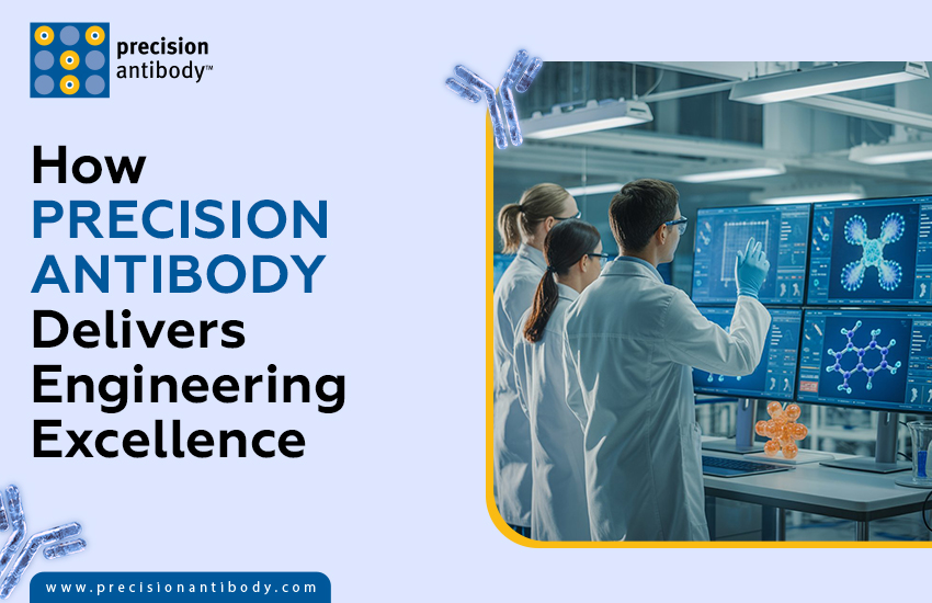 How Precision Antibody Delivers Engineering Excellence