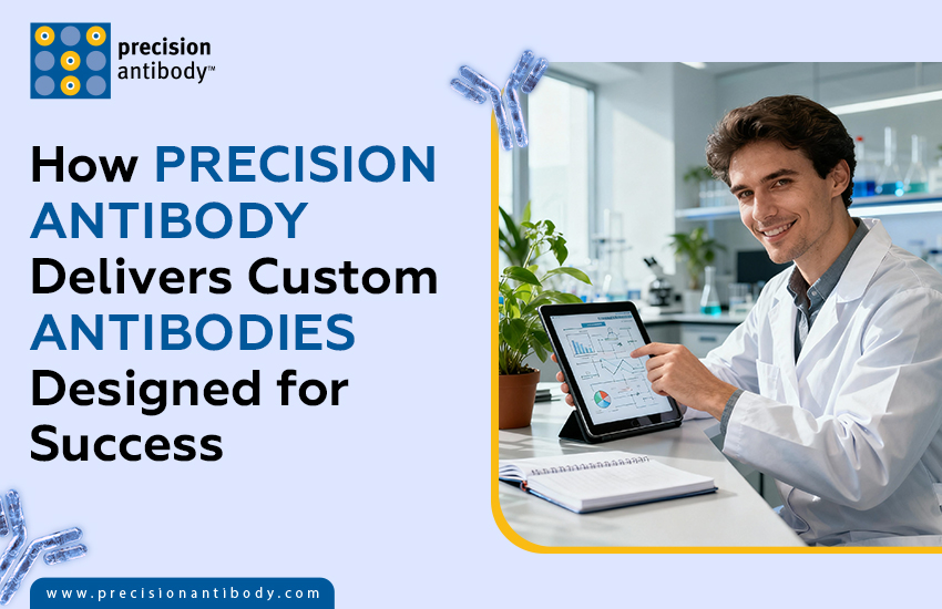 How Precision Antibody Delivers Custom Antibodies Designed for Success