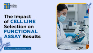 The Impact of Cell Line Selection on Functional Assay Results