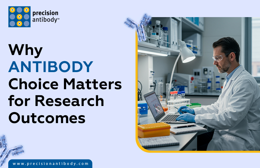 Why Antibody Choice Matters for Research Outcomes