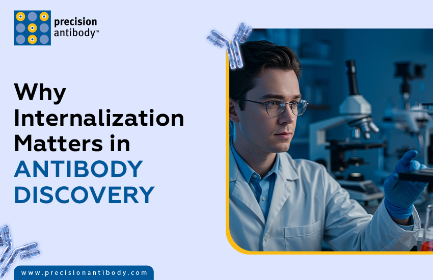 Why Internalization Matters in Antibody Discovery