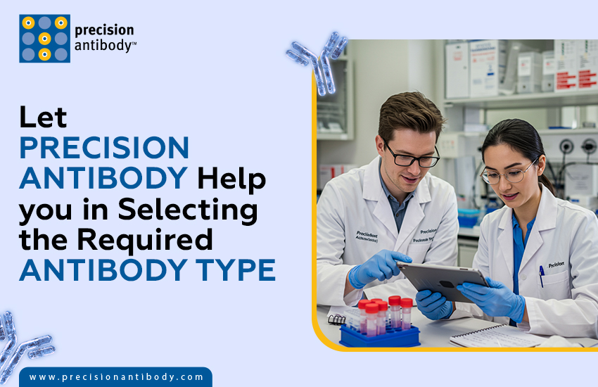 Let Precision Antibody Help You in Selecting the Required Antibody Type