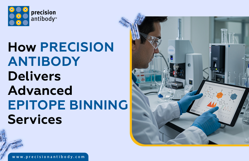How Precision Antibody Delivers Advanced Epitope Binning Services