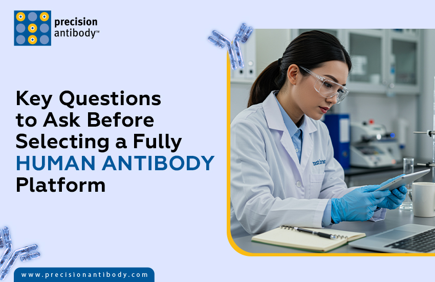 Key Questions to Ask Before Selecting a Fully Human Antibody Platform
