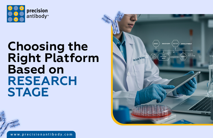 Choosing the Right Platform Based on Research Stage