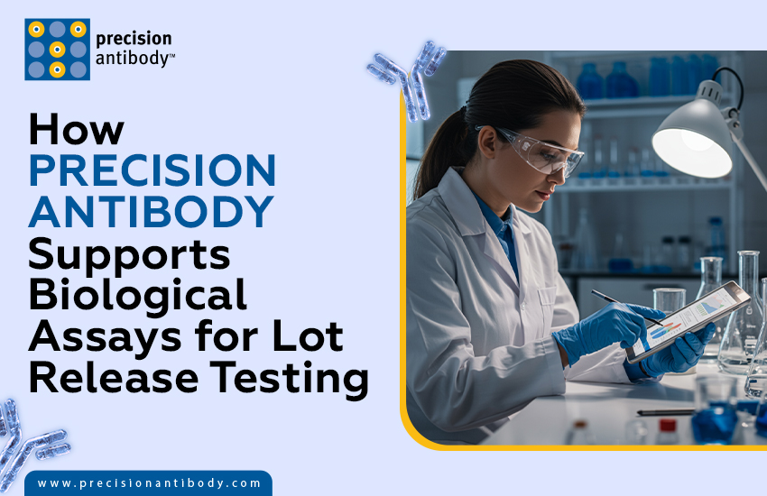 How Precision Antibody Supports Biological Assays for Lot Release Testing