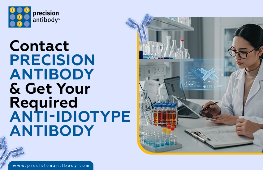 Contact Precision Antibody & Get Your Required Anti-Idiotype Antibody