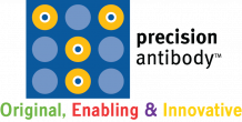 logo png
